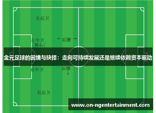 金元足球的困境与抉择：走向可持续发展还是继续依赖资本驱动