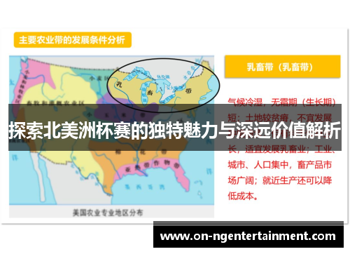 探索北美洲杯赛的独特魅力与深远价值解析