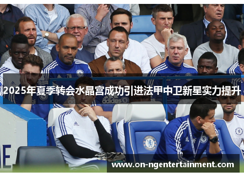 2025年夏季转会水晶宫成功引进法甲中卫新星实力提升 2025年夏季转会水晶宫成功引进法甲中卫新星实力提升